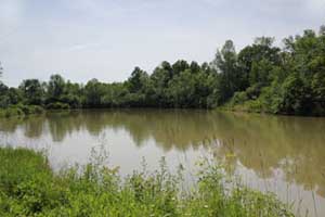 Stevensville Conservation Area pond