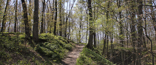 short hills