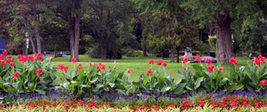 queen vixtoria park