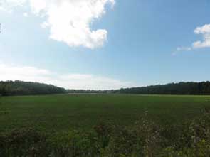 view from friendship trail