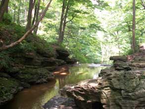 louth conservation area