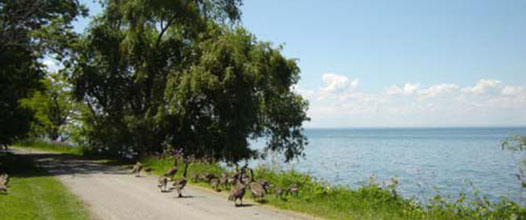 lake ontario