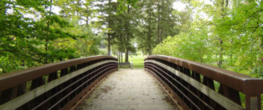 mcfarland park bridge