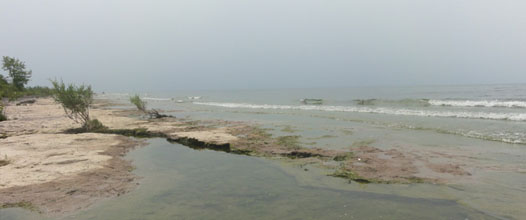 morgans point