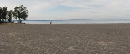 municipal beach