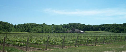 vineland