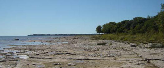 wainfleet